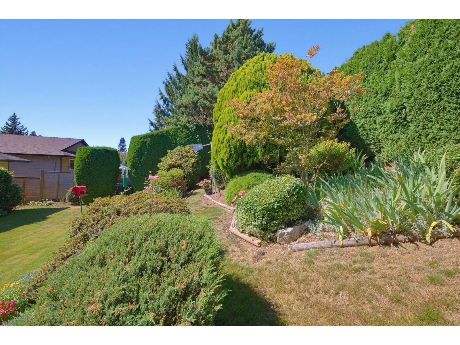 2358 Cameron Crescent, Abbotsford, British Columbia  V2S 5W4 - Photo 35 - R3150801