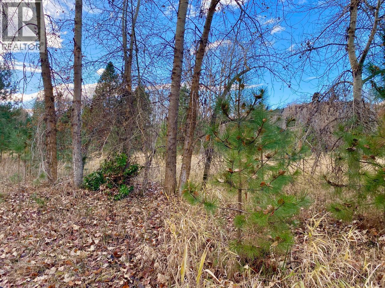 2338 Kettle River Drive, Grand Forks, British Columbia  V0H 1H0 - Photo 10 - 10397021