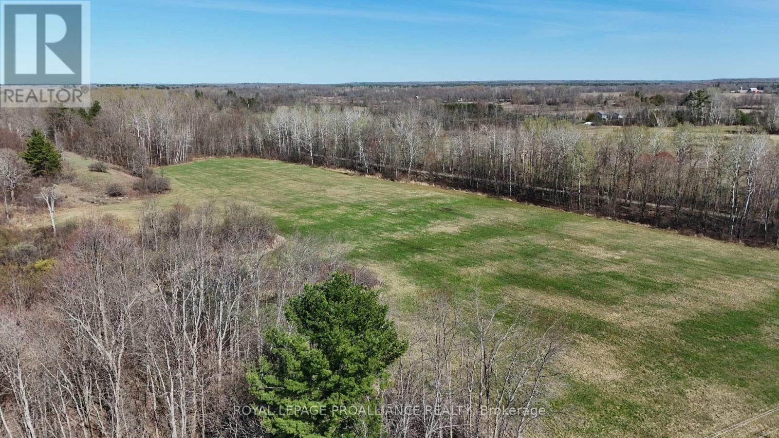 1306 Sulphide Road, Tweed, Ontario  K0K 3J0 - Photo 4 - X13645936