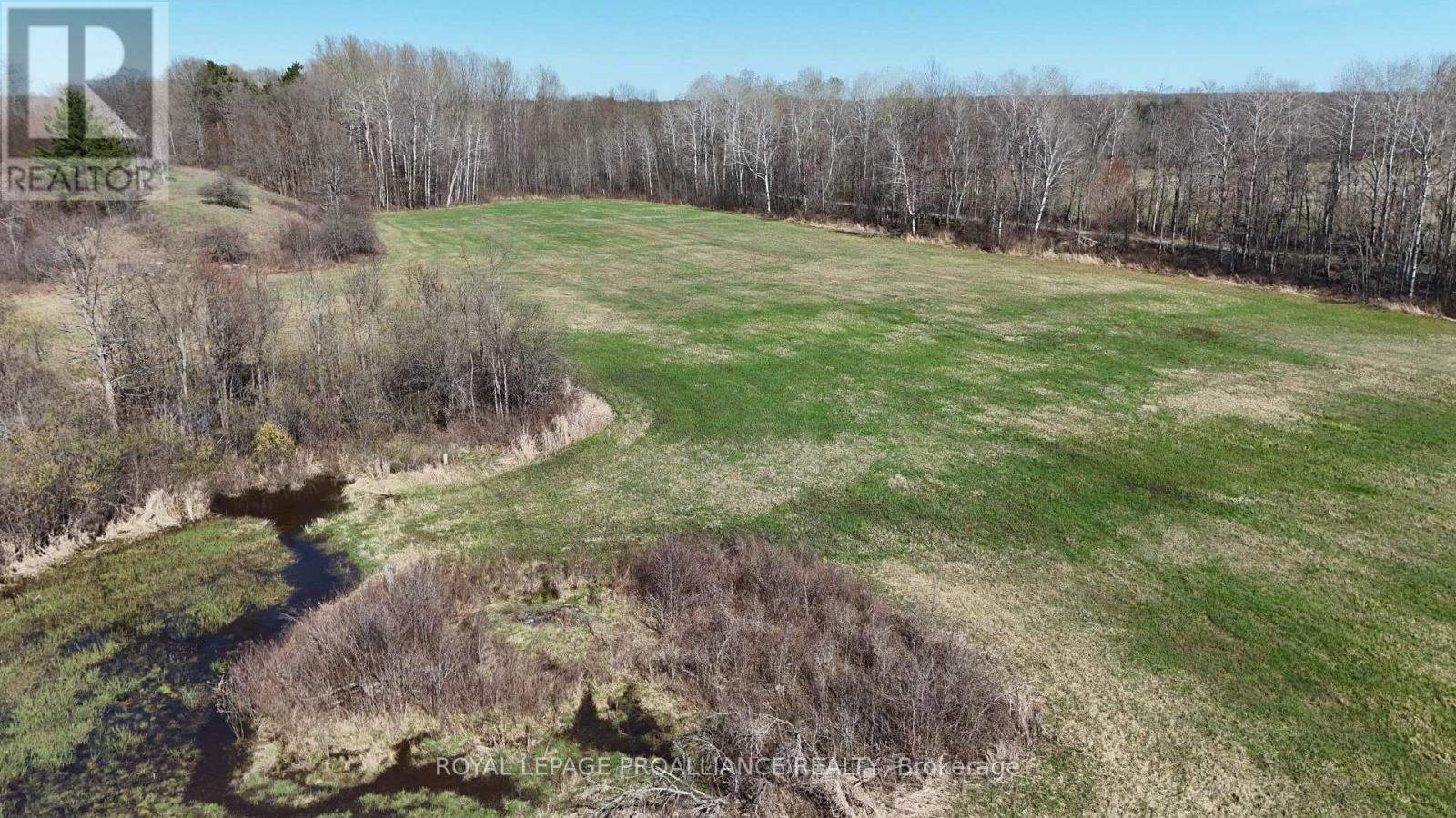 1306 Sulphide Road, Tweed, Ontario  K0K 3J0 - Photo 5 - X13645936