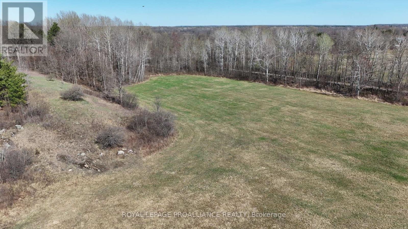 1306 Sulphide Road, Tweed, Ontario  K0K 3J0 - Photo 6 - X13645936