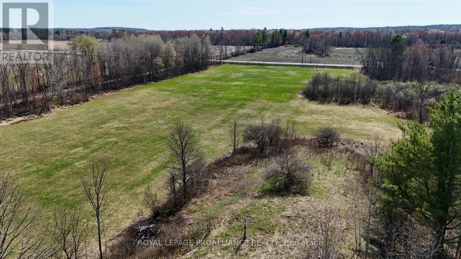 1306 Sulphide Road, Tweed, Ontario  K0K 3J0 - Photo 8 - X13645936