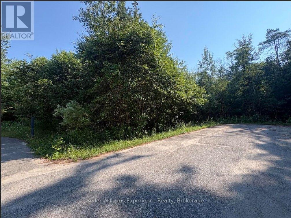 Pts1,2,3,4,5,6&751r35480 Rue Karola, Tiny, Ontario  L0L 2J0 - Photo 3 - S13645922