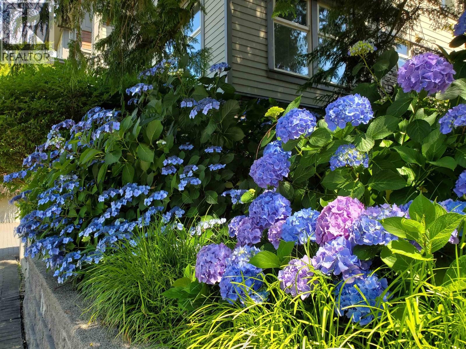 208 188 W 29 Street, North Vancouver, British Columbia  V7N 0A2 - Photo 33 - R3117235
