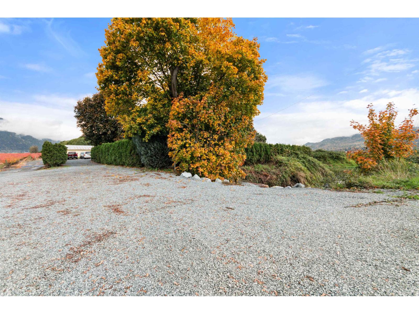 39965 No. 5 Road, Abbotsford, British Columbia  V3G 2G3 - Photo 7 - R3142449