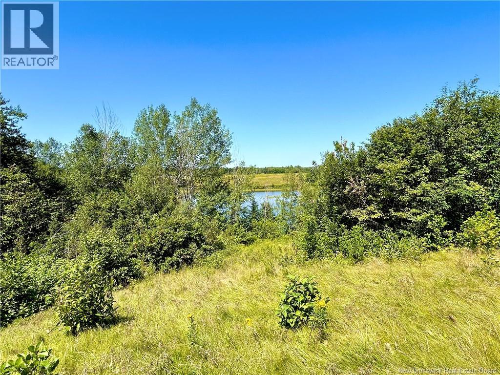 3036 Sq Mt Route 117, Black River Bridge, New Brunswick E1N 5K5 - Photo 3 - NB145489
