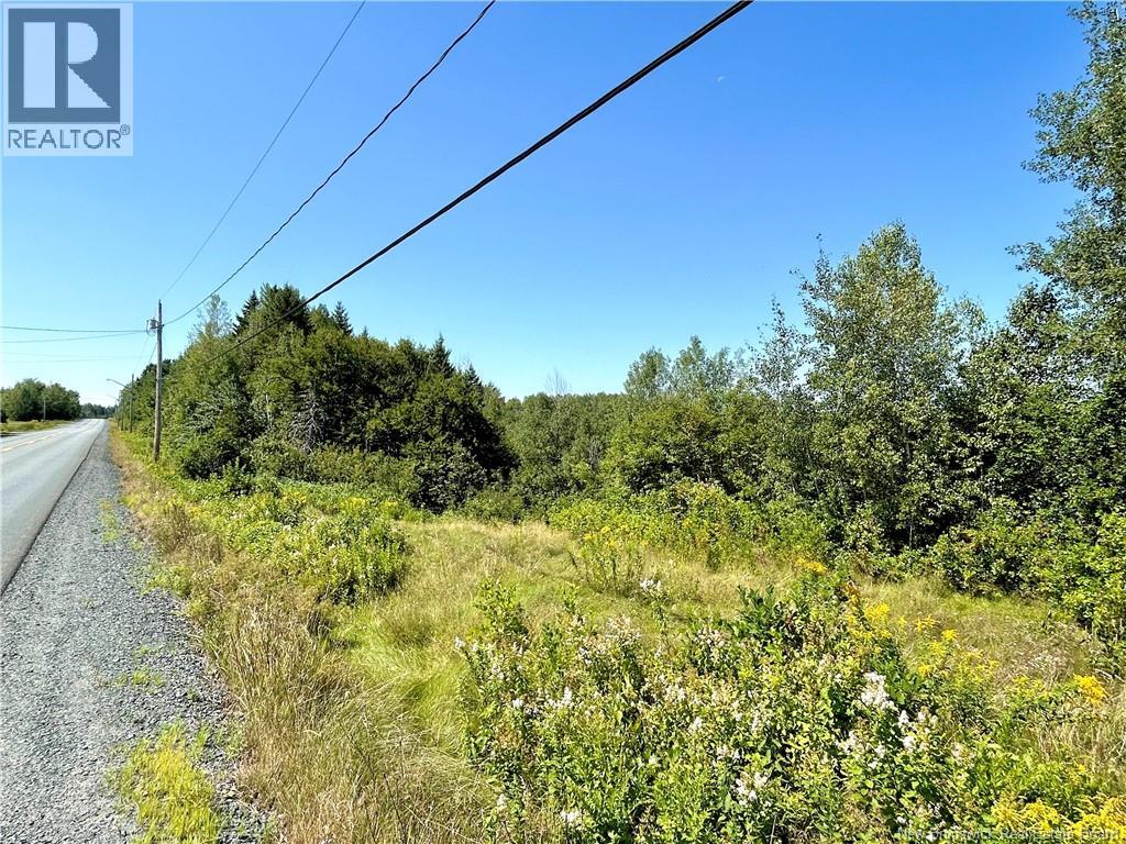 3036 Sq Mt Route 117, Black River Bridge, New Brunswick E1N 5K5 - Photo 4 - NB145489