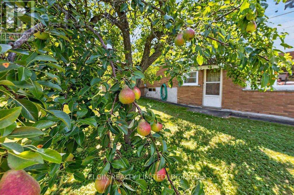 236 1/2 Erie Street, St. Thomas, Ontario  N5R 2N9 - Photo 29 - X13646210