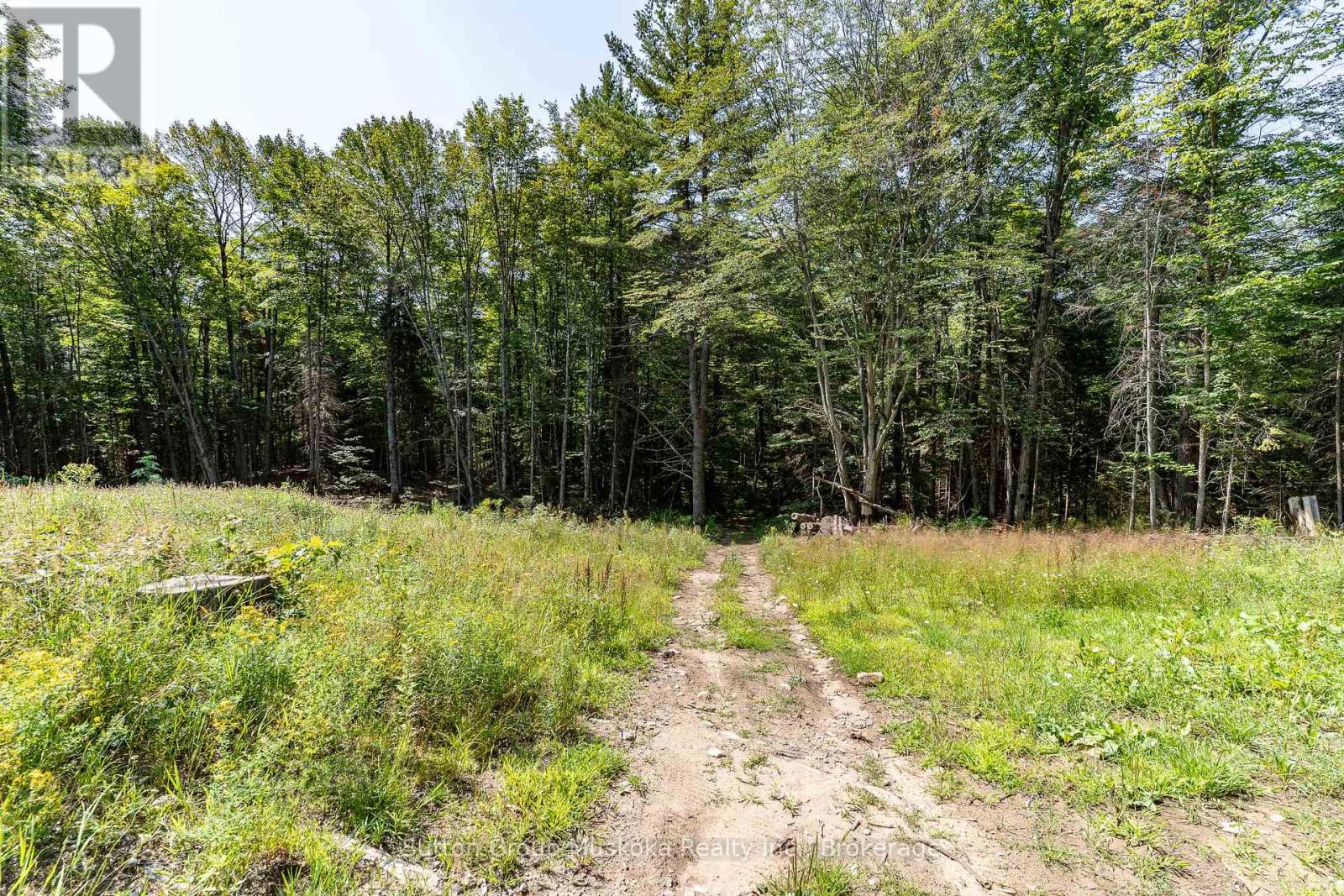 1265 Britannia Road, Huntsville, Ontario  P1H 2J3 - Photo 44 - X13646084