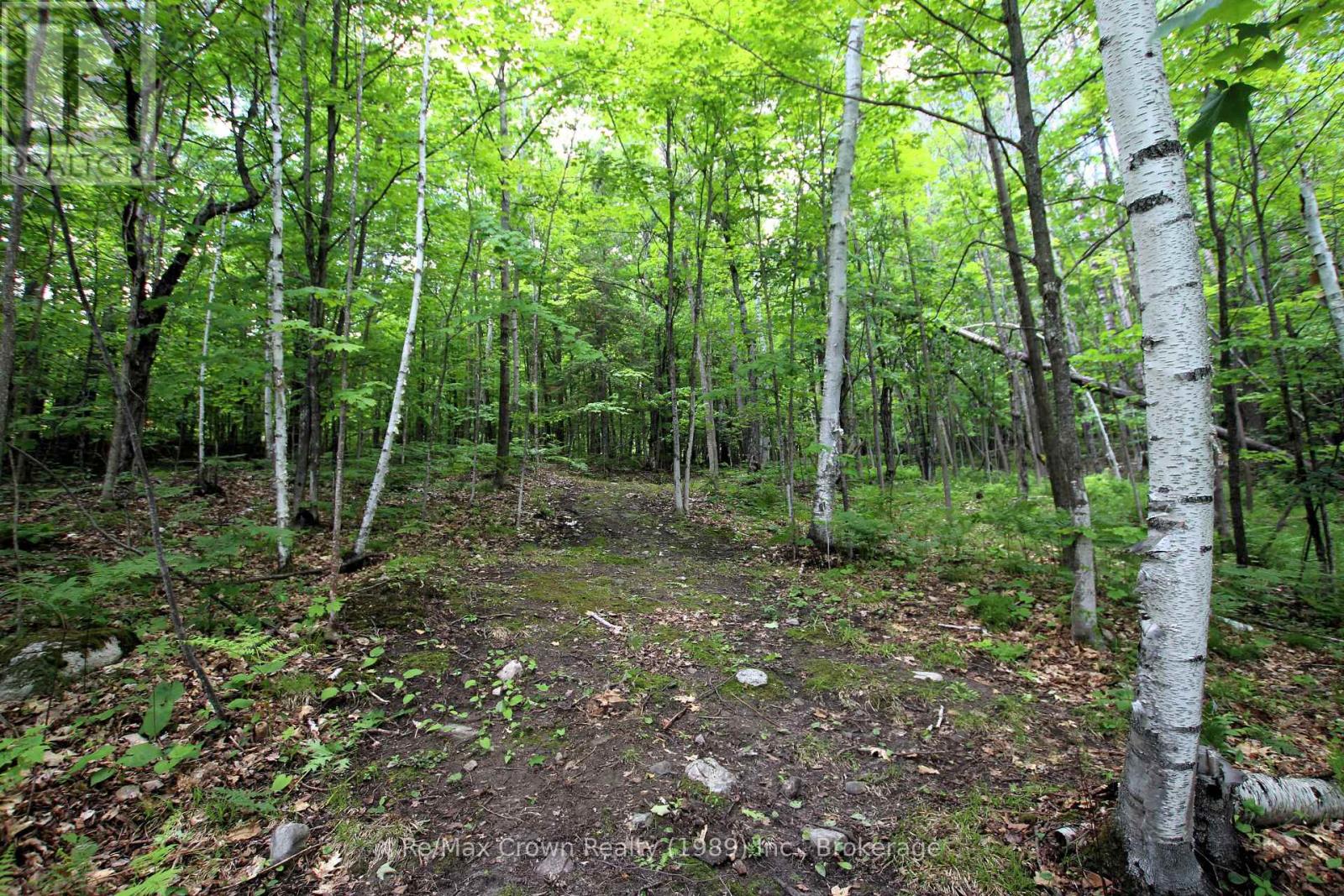 1052 Limberlost Point Road, Parry Sound Remote Area, Ontario  P0H 2R0 - Photo 27 - X13646196