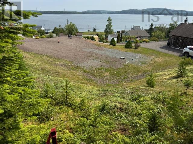picture 2