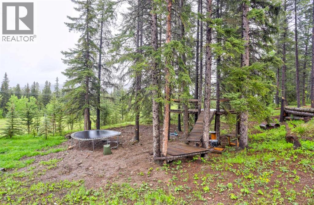 1830 York Creek Close, Blairmore, Alberta  T0K 0E0 - Photo 41 - A2316712