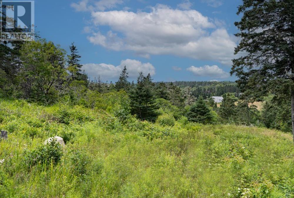 Hirtles Beach Road, Kingsburg, Nova Scotia  B0J 2X0 - Photo 5 - 202604050