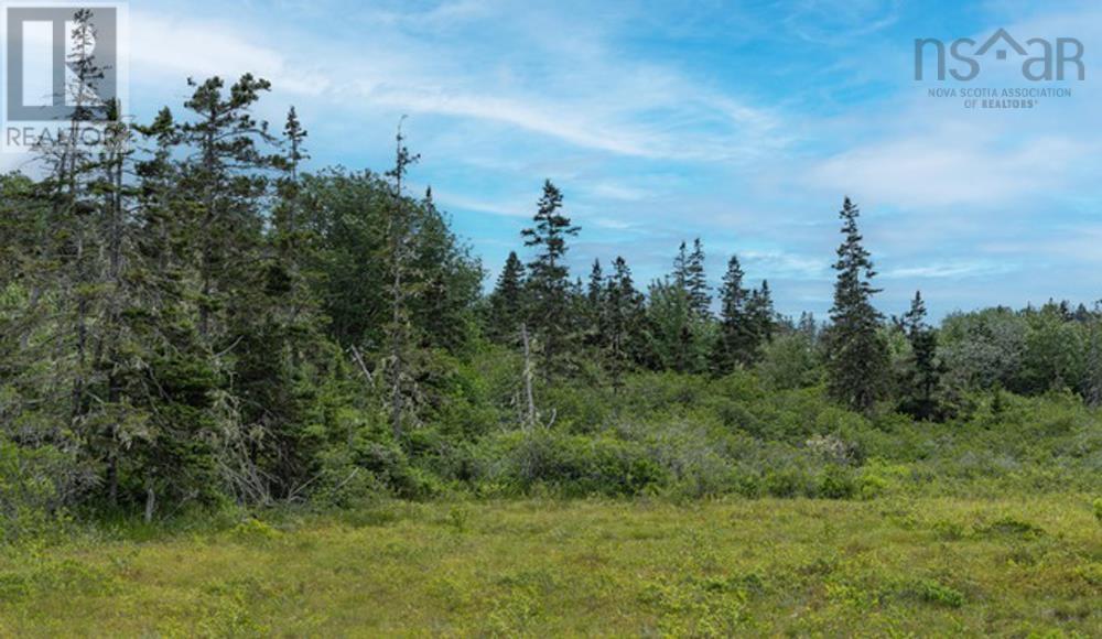 Hirtles Beach Road, Kingsburg, Nova Scotia  B0J 2X0 - Photo 6 - 202604050