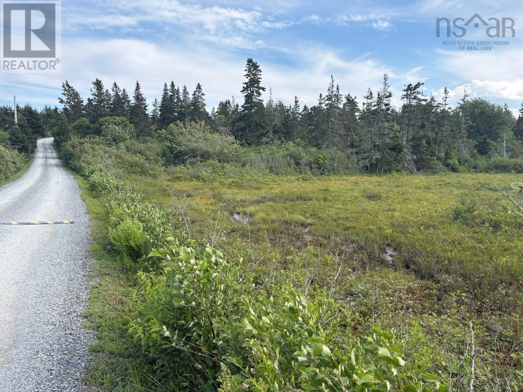 Hirtles Beach Road, Kingsburg, Nova Scotia  B0J 2X0 - Photo 2 - 202604050