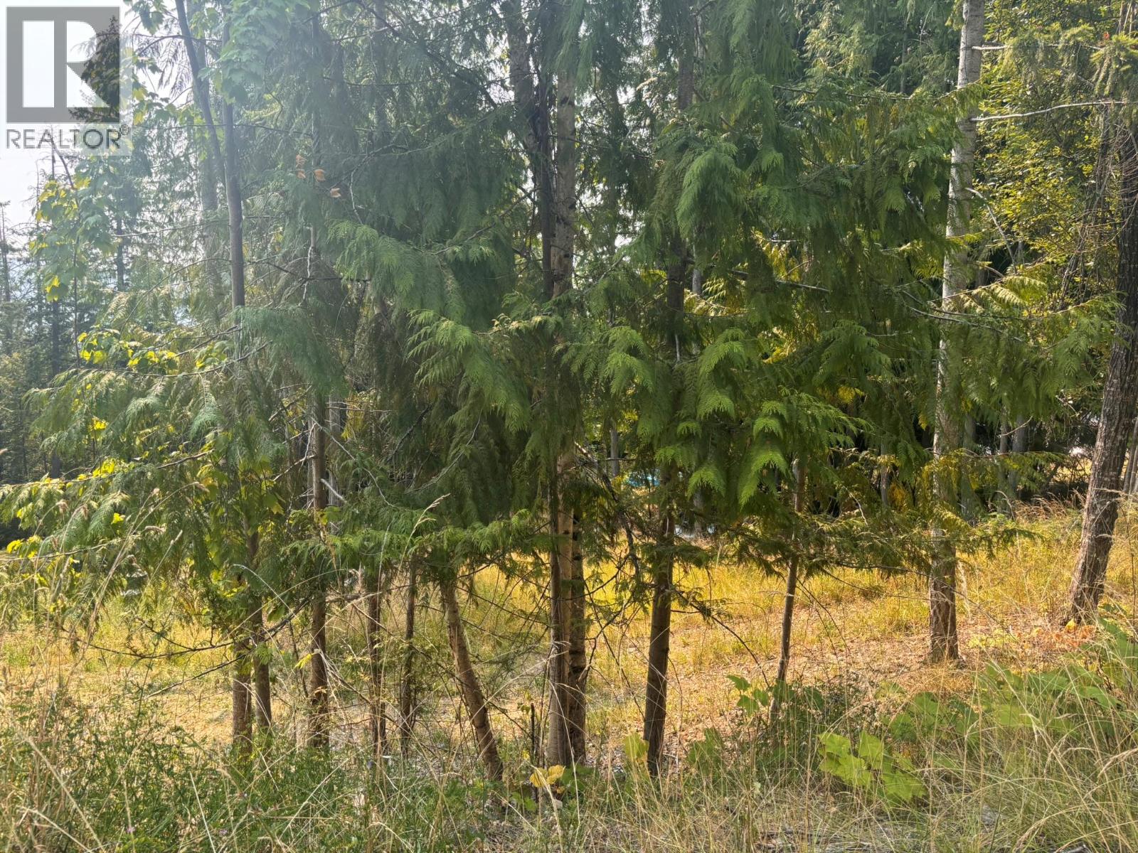 Lot 170 Estate Close, Anglemont, British Columbia