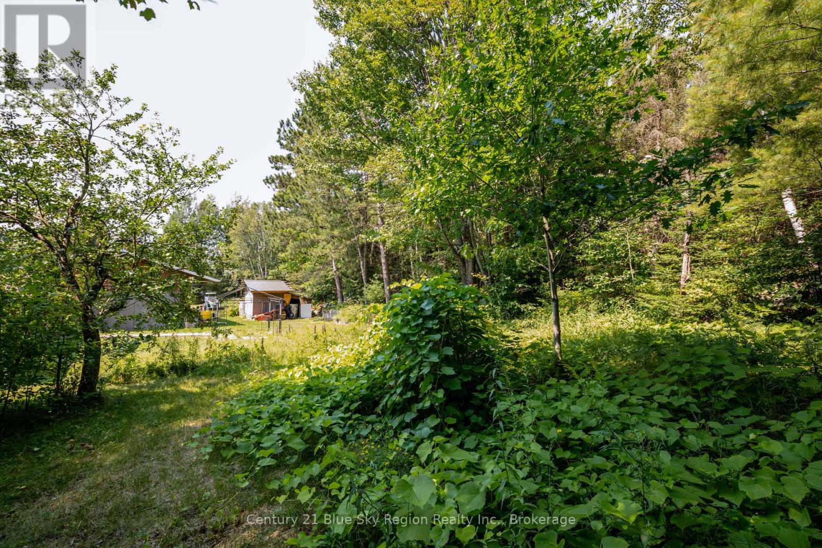 1351 Village Road, East Ferris, Ontario  P0H 1B0 - Photo 38 - X13646294