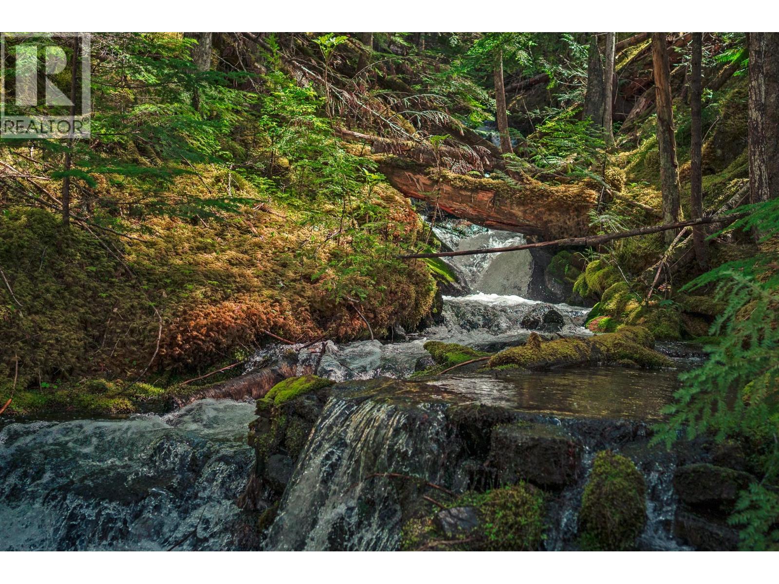 899 Coleman Road, Riondel, British Columbia  V0B 2B0 - Photo 21 - 10392719