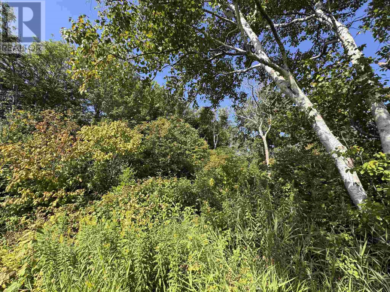 71 Lighthouse Point, Thessalon, Ontario  P0R 1L0 - Photo 10 - SM262057