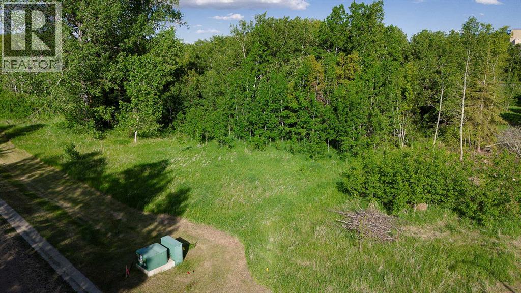 Lot 4 44 Avenue Close, Alix, Alberta  T0C 0B0 - Photo 6 - A2106667