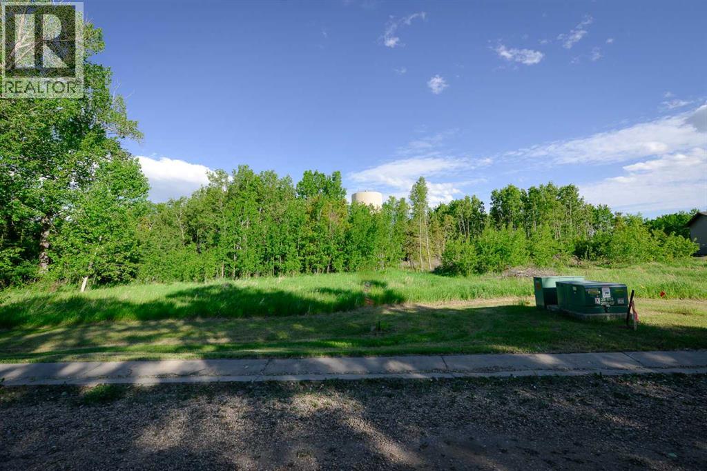 Lot 4 44 Avenue Close, Alix, Alberta  T0C 0B0 - Photo 4 - A2106667