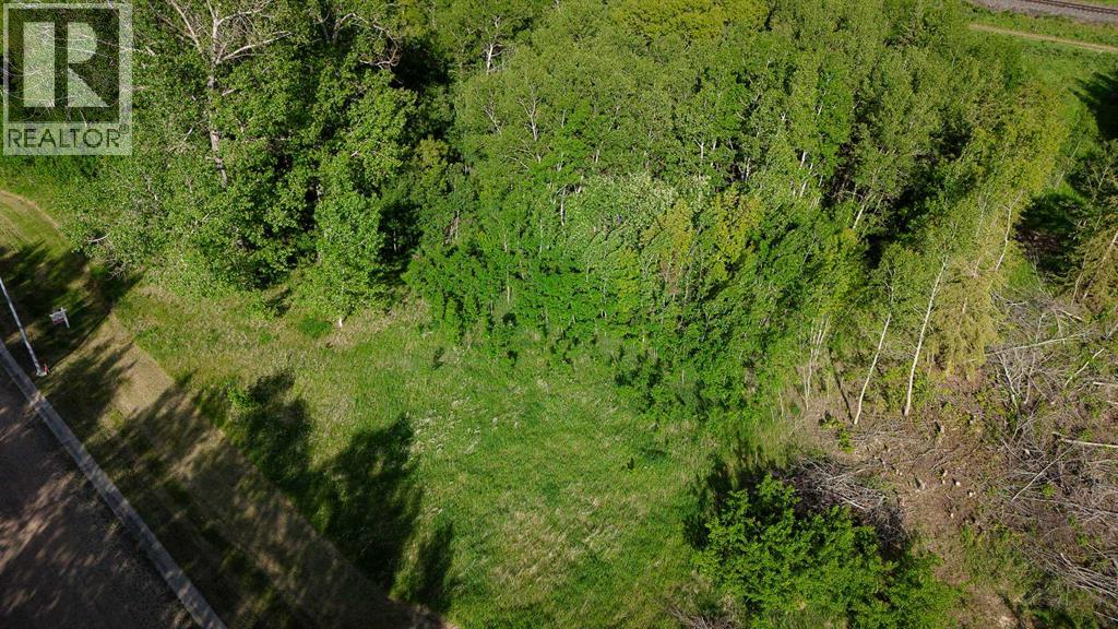 Lot 4 44 Avenue Close, Alix, Alberta  T0C 0B0 - Photo 7 - A2106667