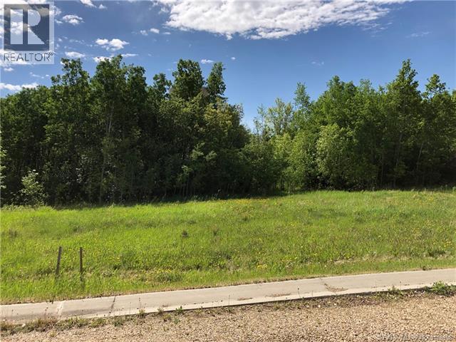 Lot 4 44 Avenue Close, Alix, Alberta  T0C 0B0 - Photo 2 - A2106667