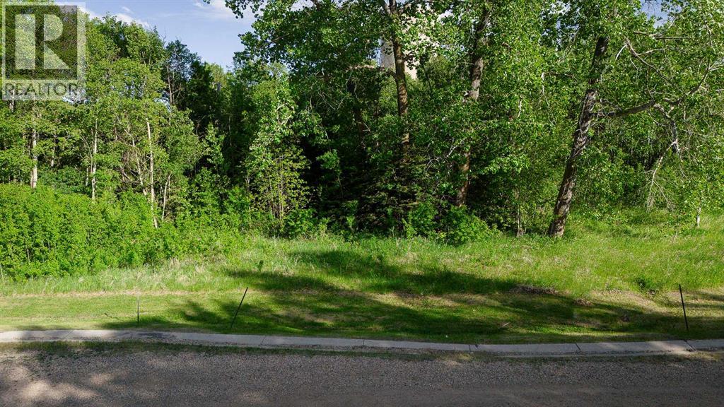 Lot 5 44 Avenue Close, Alix, Alberta  T0C 0B0 - Photo 4 - A2106668