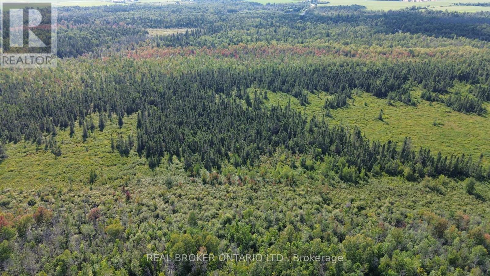 12830 County  15 Road, Merrickville-Wolford, Ontario  K0G 1N0 - Photo 13 - X13646368