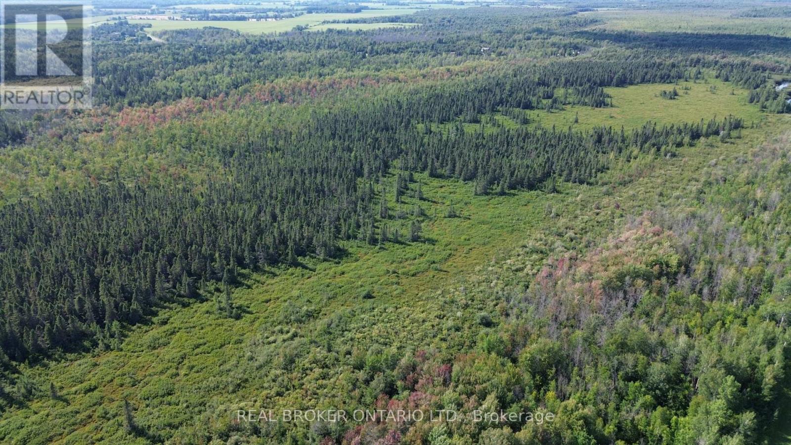12830 County  15 Road, Merrickville-Wolford, Ontario  K0G 1N0 - Photo 21 - X13646368