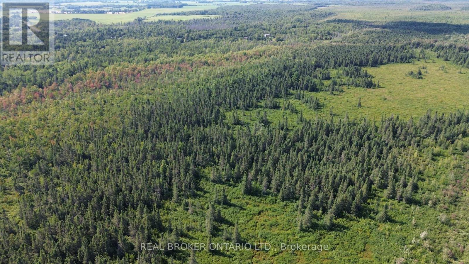 12830 County  15 Road, Merrickville-Wolford, Ontario  K0G 1N0 - Photo 22 - X13646368