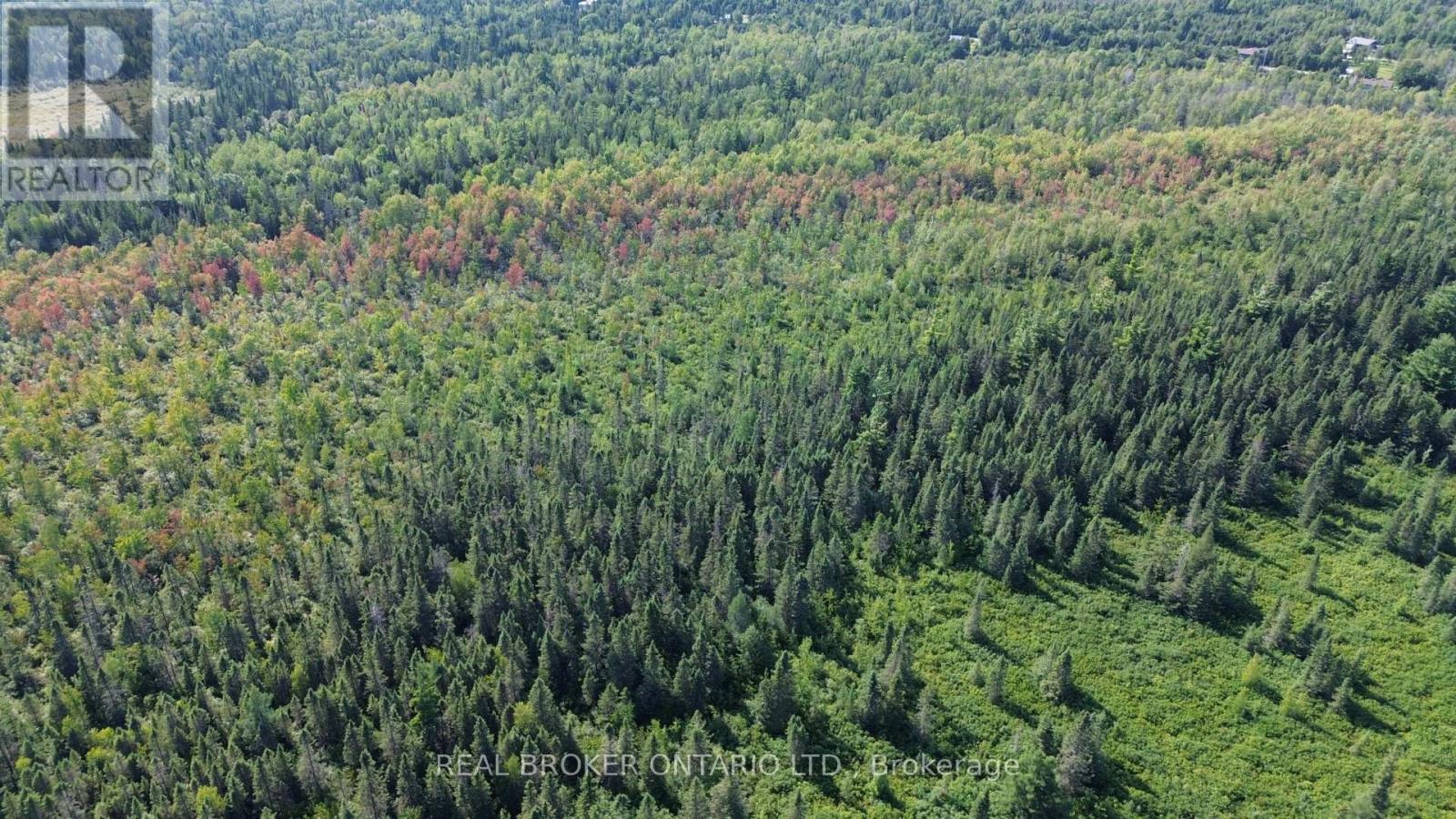 12830 County  15 Road, Merrickville-Wolford, Ontario  K0G 1N0 - Photo 26 - X13646368