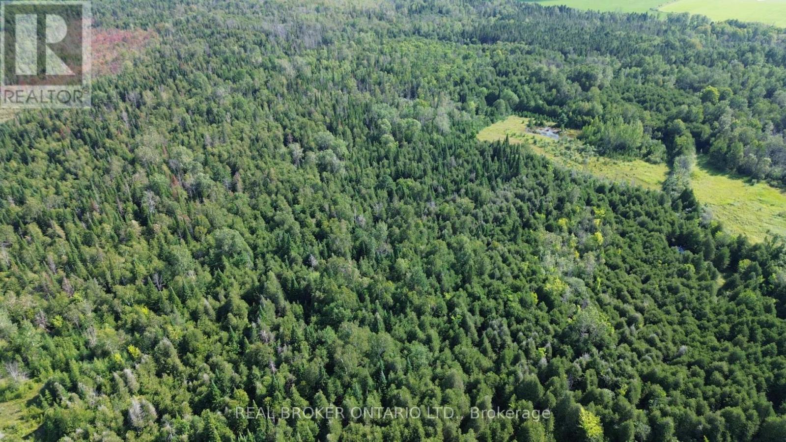 12830 County  15 Road, Merrickville-Wolford, Ontario  K0G 1N0 - Photo 6 - X13646368