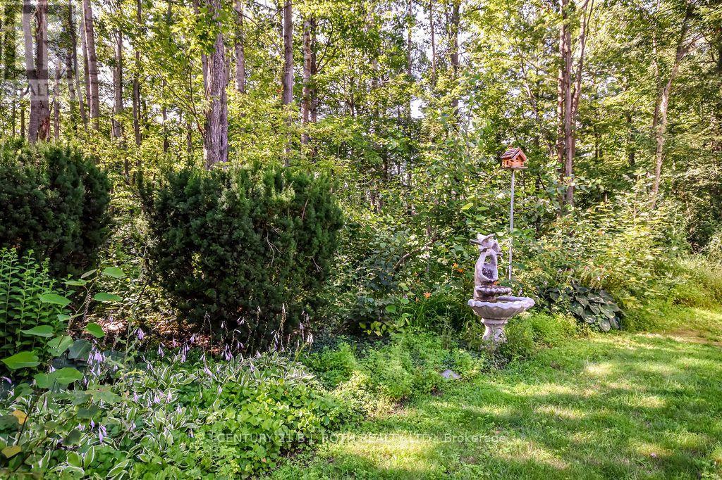 1078 Sunnidale Road, Springwater, Ontario  L4M 4S4 - Photo 43 - S13474880