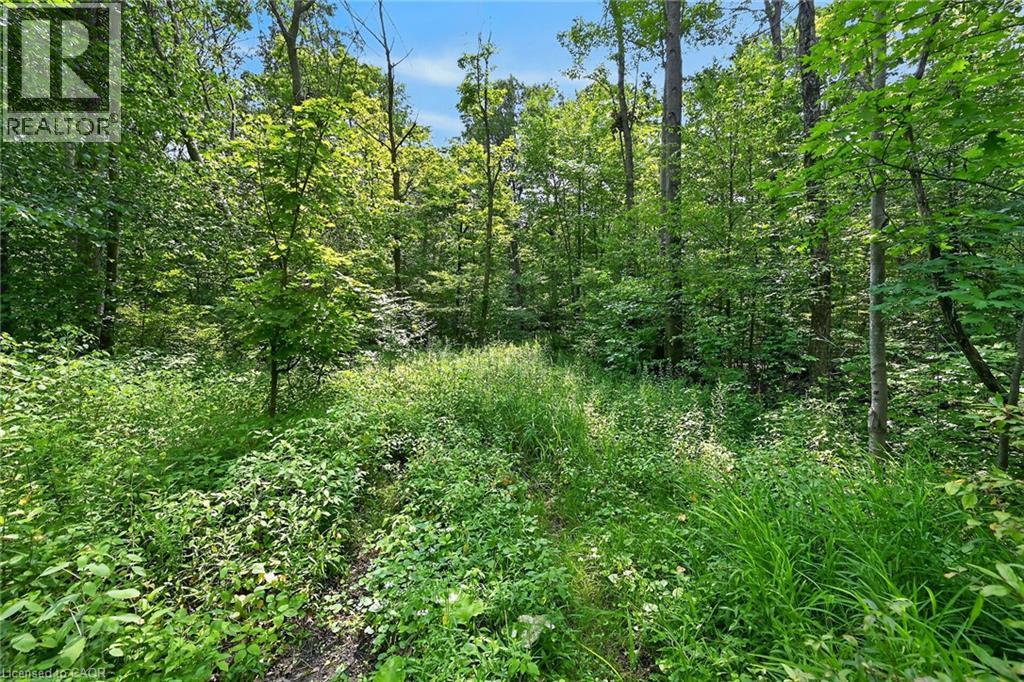 118 Concession 1 Road, Canfield, Ontario  N0A 1C0 - Photo 45 - 40851502