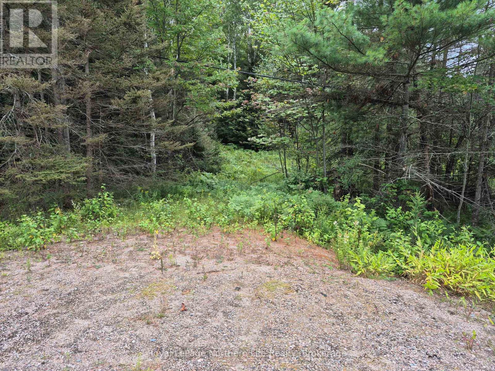 3518 Highway 17, Papineau-Cameron, Ontario  P0H 1V0 - Photo 3 - X13646724