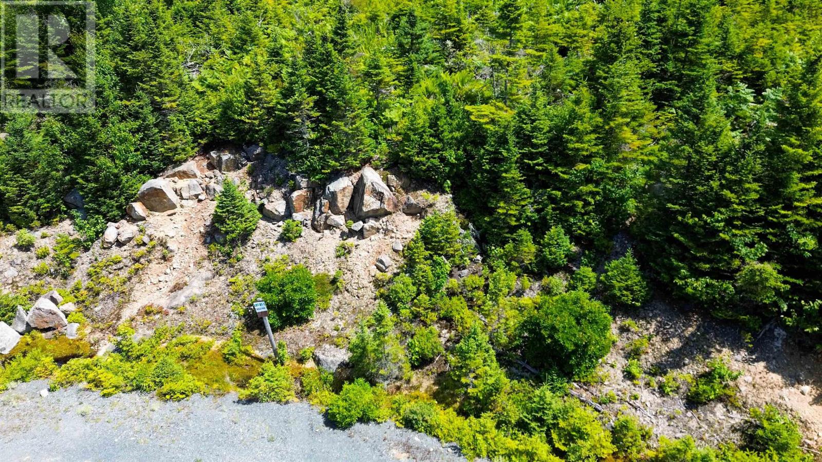 picture 0