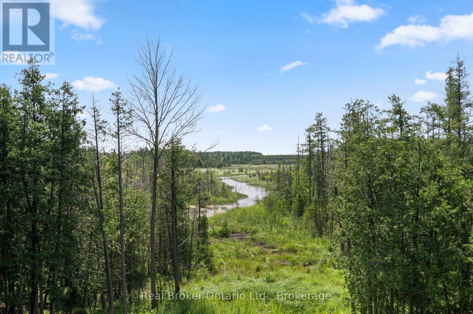156 Pine View Drive, West Grey, Ontario  N0G 1S0 - Photo 18 - X13633700