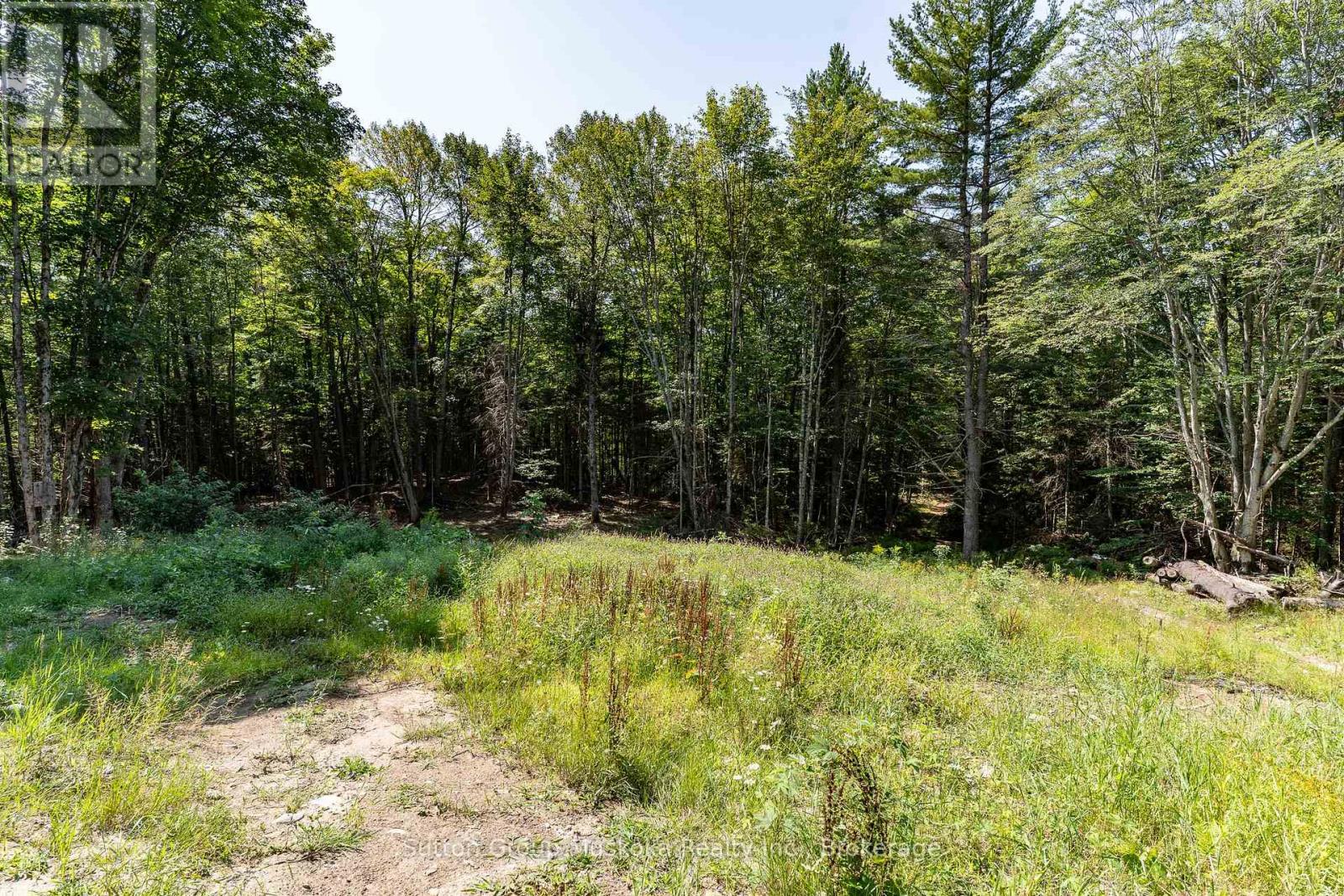 1265 Britannia Road, Huntsville, Ontario  P1H 2J3 - Photo 41 - X13646084
