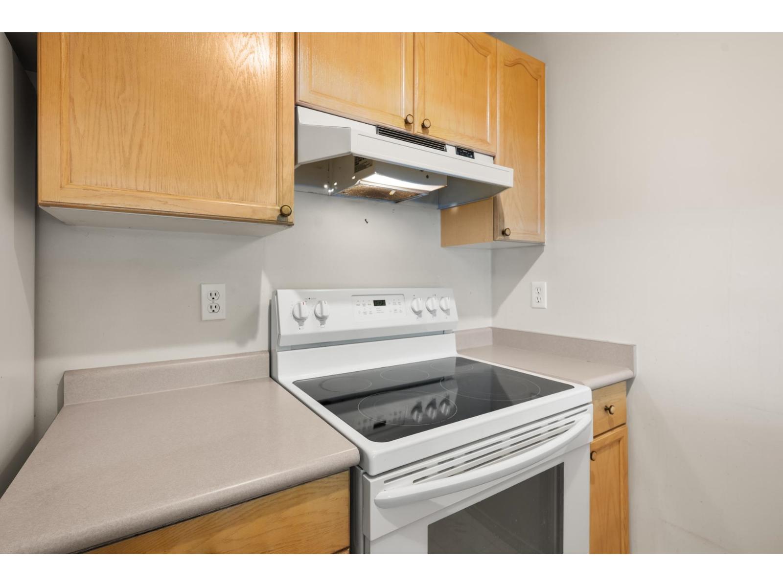 110 20350 54 Avenue, Langley, British Columbia  V3A 8J4 - Photo 7 - R3153349