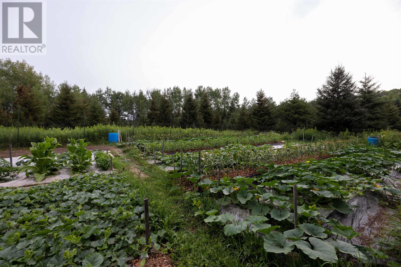 40 Centre St, Murillo, Ontario  P0T 2G0 - Photo 33 - TB2602152