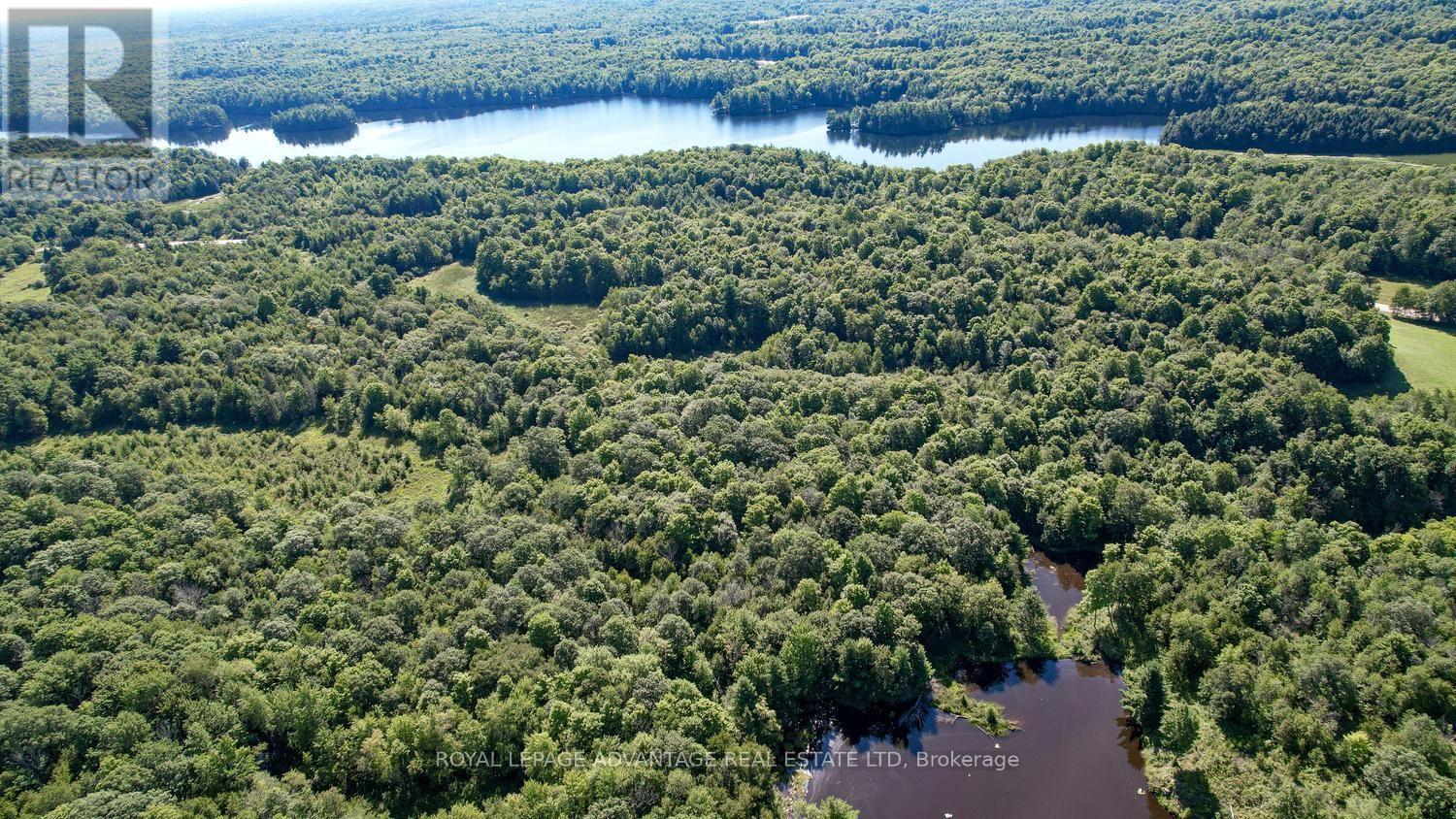 0 Scotch Line Road, Rideau Lakes, Ontario  K7H 3C5 - Photo 10 - X13647000