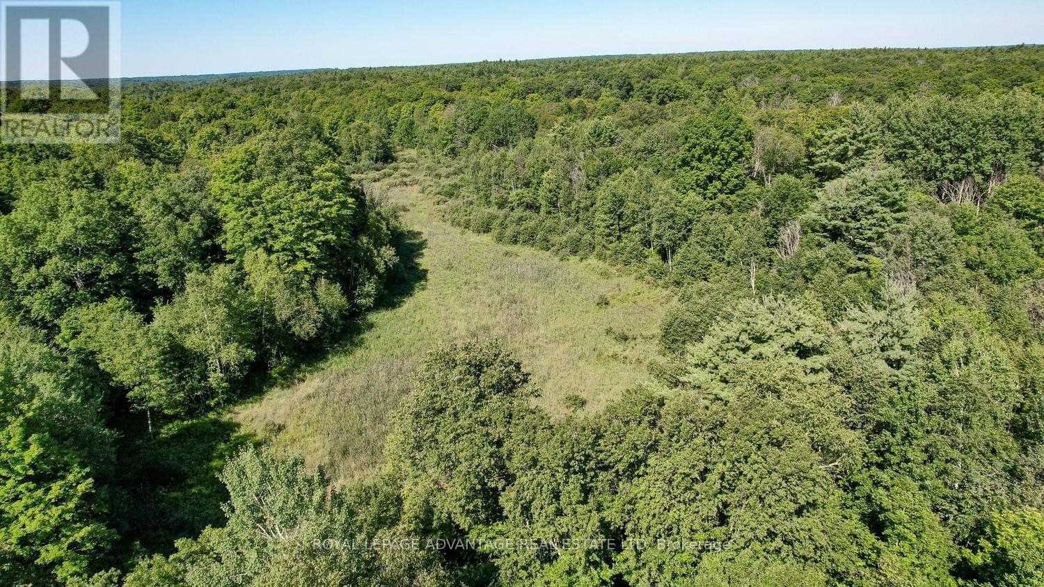 0 Scotch Line Road, Rideau Lakes, Ontario  K7H 3C5 - Photo 19 - X13647000