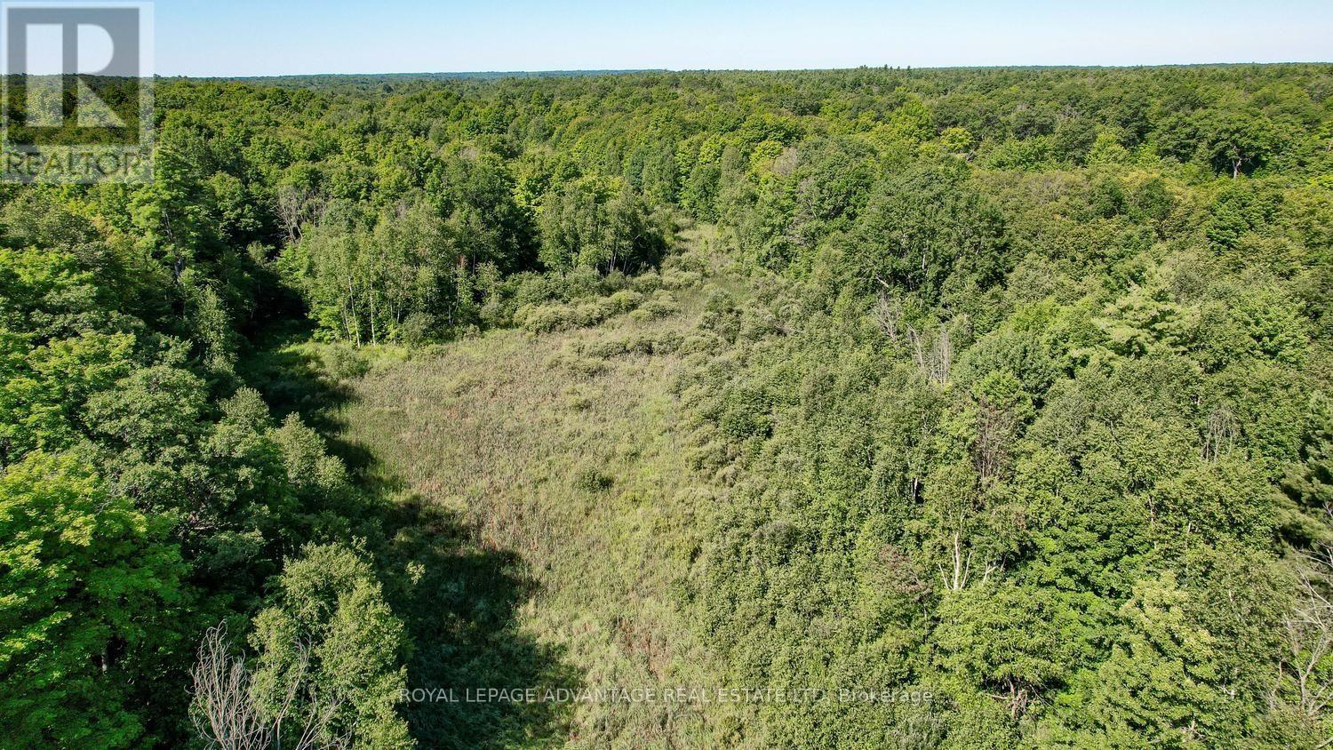 0 Scotch Line Road, Rideau Lakes, Ontario  K7H 3C5 - Photo 21 - X13647000