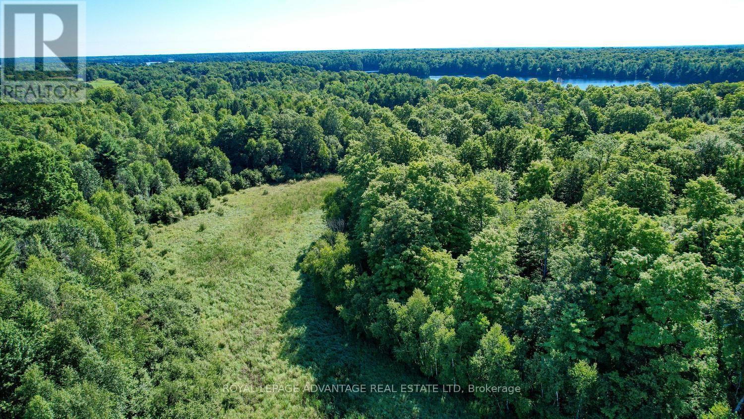 0 Scotch Line Road, Rideau Lakes, Ontario  K7H 3C5 - Photo 22 - X13647000