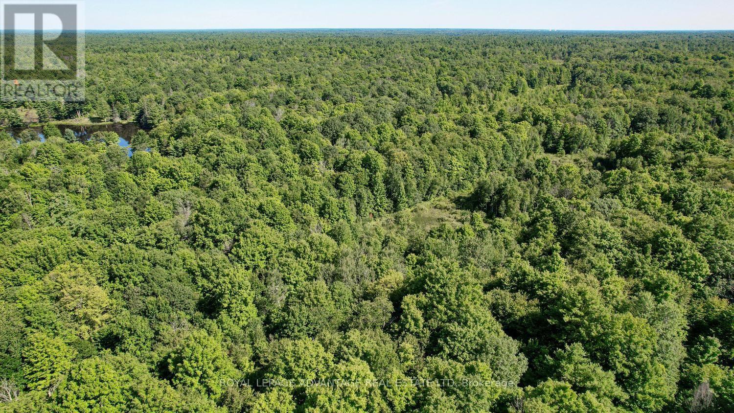 0 Scotch Line Road, Rideau Lakes, Ontario  K7H 3C5 - Photo 24 - X13647000