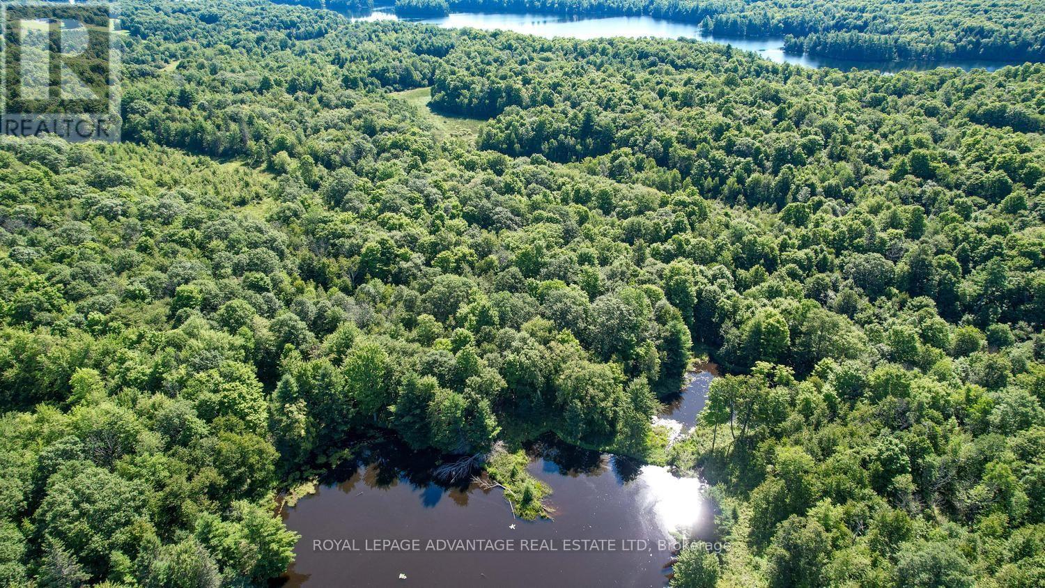0 Scotch Line Road, Rideau Lakes, Ontario  K7H 3C5 - Photo 25 - X13647000