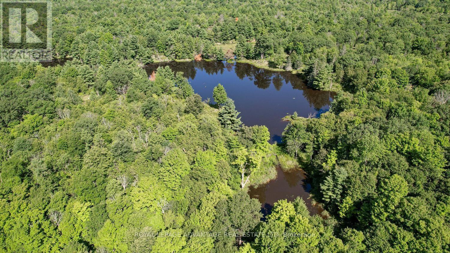 0 Scotch Line Road, Rideau Lakes, Ontario  K7H 3C5 - Photo 26 - X13647000