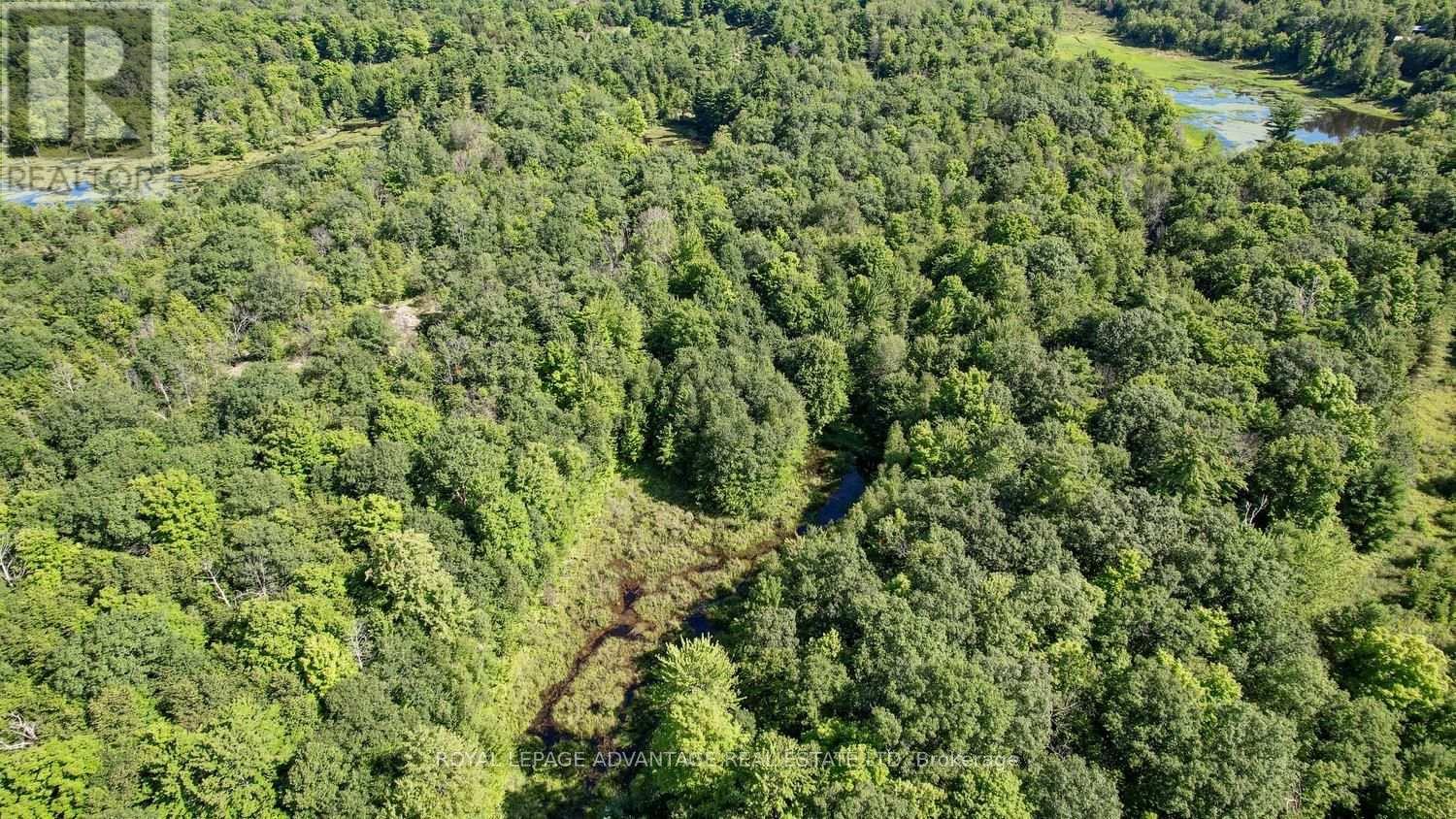 0 Scotch Line Road, Rideau Lakes, Ontario  K7H 3C5 - Photo 30 - X13647000