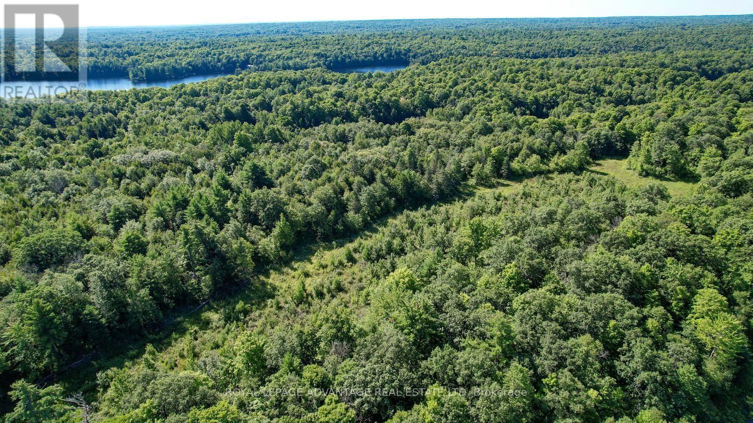 0 Scotch Line Road, Rideau Lakes, Ontario  K7H 3C5 - Photo 31 - X13647000